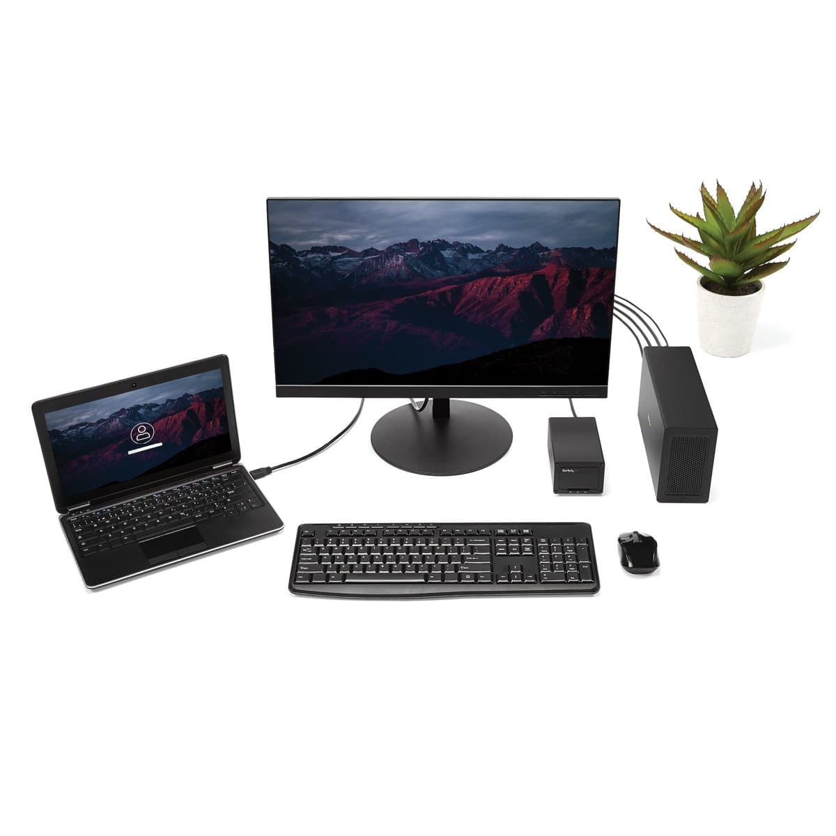 view 4