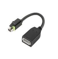Lenovo 4X90Q93975 Mini DisplayPort to DisplayPort Adapter, Male-Female, ThinkStation