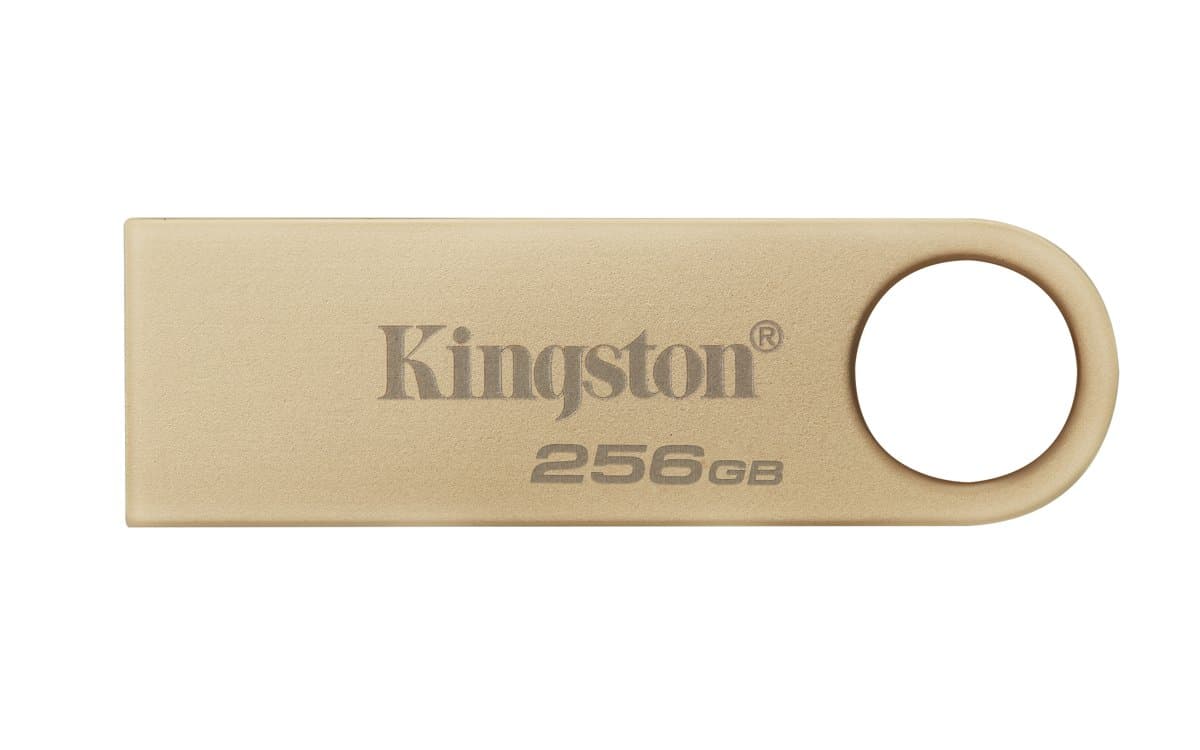 Kingston DataTraveler SE9 G3, 256GB, USB 3.2 Gen 1, 220MB/s, Metal