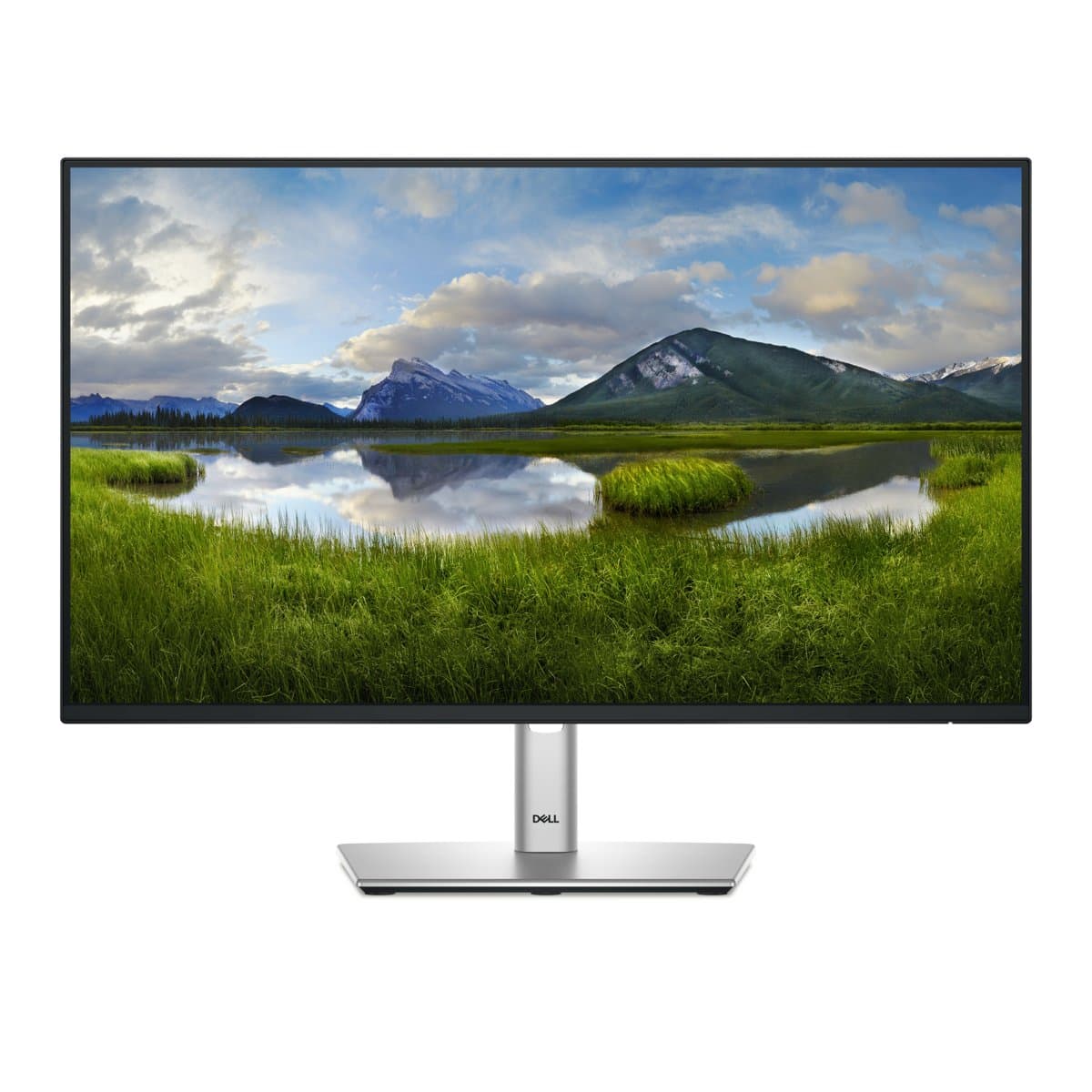 Dell Pro Plus P2425HE, 24" Full HD Monitor, 90W USB-C Hub