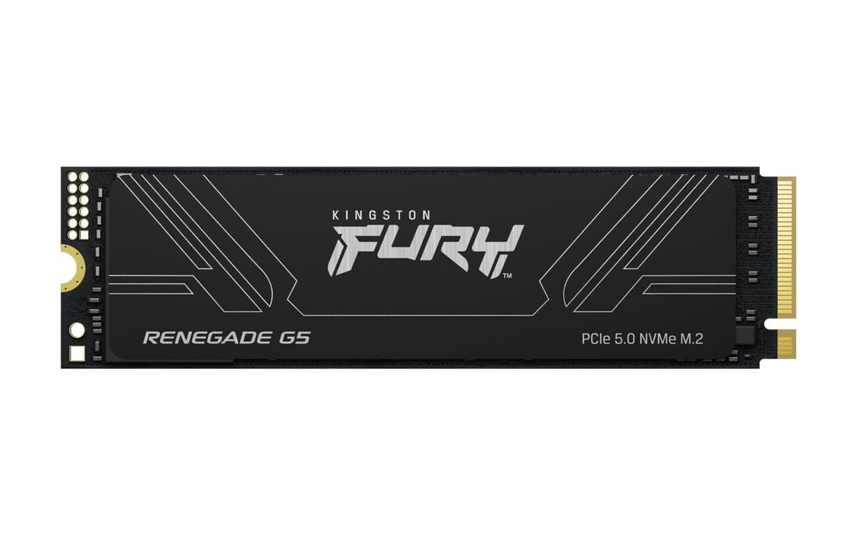 Kingston FURY Renegade G5 PCIe 5.0 M.2 NVMe SSD, 4 TB, 14800 MB/s Read, 14000 MB/s Write